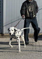 Not For Everyone Jacket